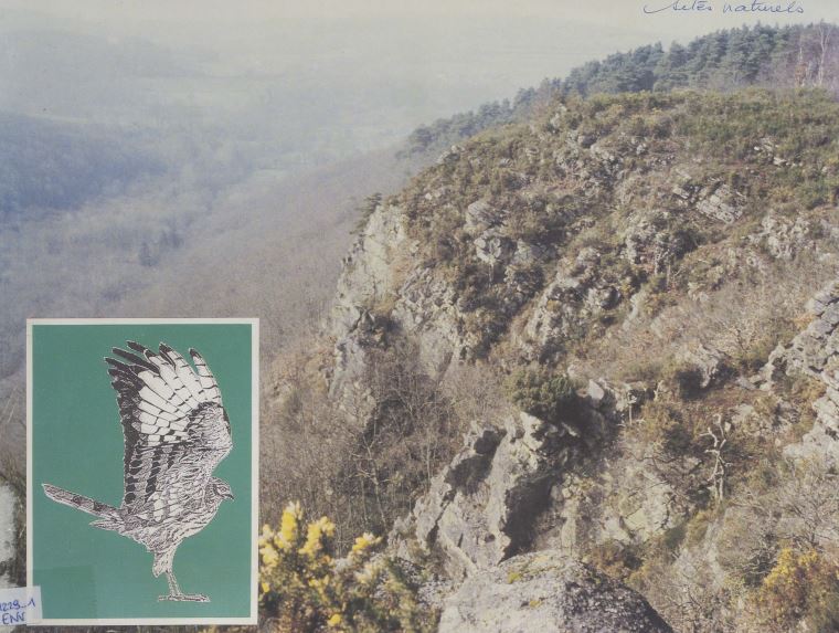 Overview